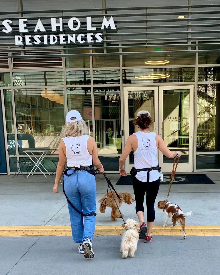 See Jane Walk Sells Hats and T-shirts