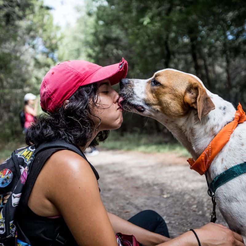 Austin's Favorite Pet Sitters